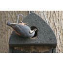 Nest box with oval entrance hole e.g. for great tit, house sparrow, tree sparrow, nuthatch, eurasian wryneck &amp; bats, such as: Natterers bat, brown long-eared bat