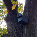 Nest box with oval entrance hole e.g. for great tit, house sparrow, tree sparrow, nuthatch, eurasian wryneck &amp; bats, such as: Natterers bat, brown long-eared bat