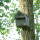 Nest box with oval entrance hole e.g. for great tit, house sparrow, tree sparrow, nuthatch, eurasian wryneck & bats, such as: Natterers bat, brown long-eared bat