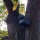 Nest box with oval entrance hole e.g. for great tit, house sparrow, tree sparrow, nuthatch, eurasian wryneck & bats, such as: Natterers bat, brown long-eared bat