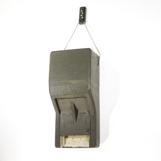 Year-round bat quarter for noctule swifts