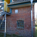Bat wall roost medium-sized