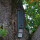 Bat universal long cave