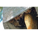 Large bat cave with gabled roof