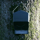 Large-capacity bat box for small bats