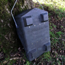 Large-capacity bat box for small bats