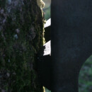 Large-capacity bat box for small bats