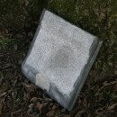 Large-capacity bat box for small bats