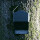 Large-capacity bat box for small bats