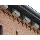 Swift facade nesting box with entry from below