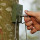 Nest box for niche breeders such as black redstart, wagtail, coal tit, tree sparrow, house sparrow, robin, wren and gray flycatcher