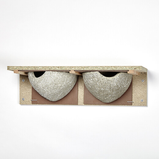 House Martins double nest