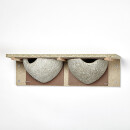 House Martins double nest
