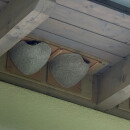 House Martins double nest