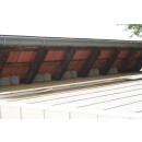 House Martins double nest