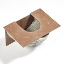 House Martins double nest