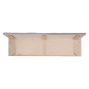 House Martins double nest