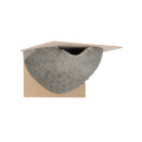 House Martins double nest