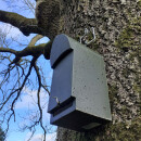 Bat cave with TWO entries 12 mm